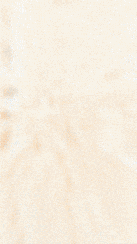 Diane Cutefox GIF by Youtooz