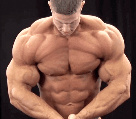 Fitness Gym GIF