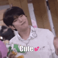Stray Kids Skz GIF