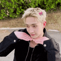Stray Kids Chan GIF
