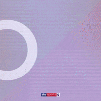 Goal Epl GIF by skysports