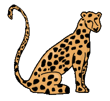 Tiger Boho Sticker by iriskristen