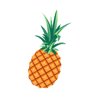 fruit purelei Sticker