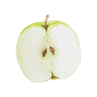 wineandsomething illustration wine drawing fruit Sticker