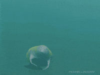 I Love You Hello GIF