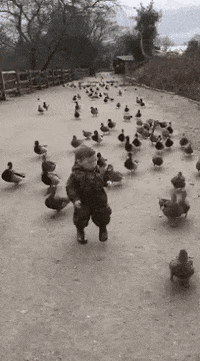 GIF by MOODMAN