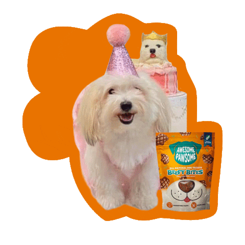 Happy Birthday Girl Sticker by Awesome Pawsome Treats