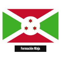 Flag Bandera Sticker by Formación Ninja