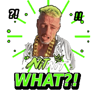 nit-nit what nit nitnit Sticker