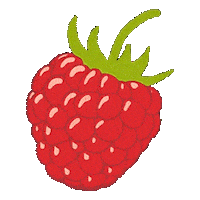 Strath Sticker by Bio-Strath AG