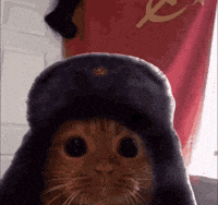 Comunista GIF