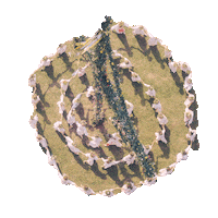 midsommar Sticker by A24