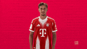 Fc Bayern Love GIF by Bundesliga