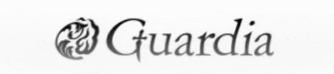 guardiaguardia giphygifmaker guardiasilver GIF