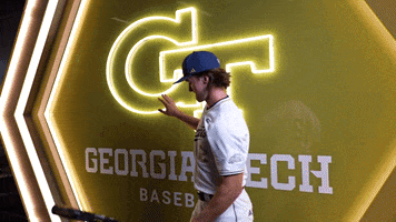 Georgia Tech Baseball GIF by Georgia Tech Yellow Jackets