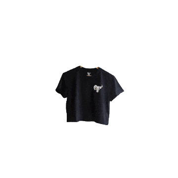 saludbeverages top salud shirt merch Sticker