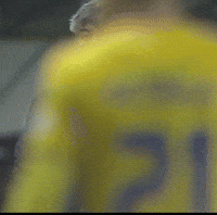 Romania Patriot GIF