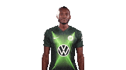 Josuha Guilavogui Instagram Sticker by VfL Wolfsburg