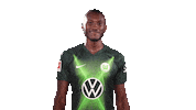Josuha Guilavogui Instagram Sticker by VfL Wolfsburg