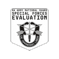 Special Forces Sticker by MA National Guard
