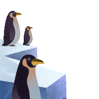 Penguins Sticker by Nosy Crow