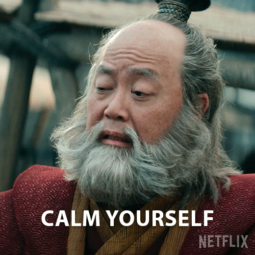 Calm Down Avatar The Last Airbender GIF by NETFLIX