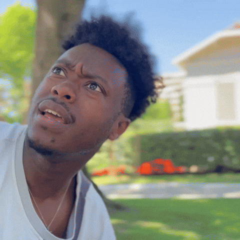 Wtf GIF