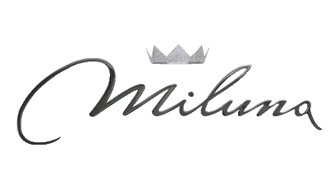 CieloVenezia1270 giphyupload corona miss gioielli Sticker