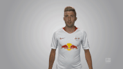 rb leipzig GIF by Bundesliga