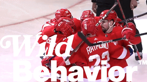 WildBehavior giphyupload red wings detroit red wings GIF