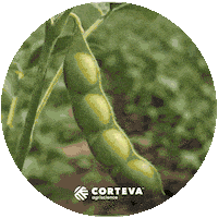 Fungicidacorteva Sticker by Corteva Brasil