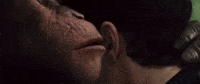 Planet Of Apes Whisper GIF