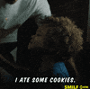 season 2 i ate some cookies GIF by Showtime