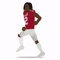 Dallas Cowboys Football GIF by SportsManias