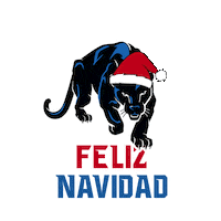 Puebla Navideno Sticker by PanterasPuebla