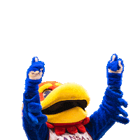 kuendowment one day one ku odoku one day one ku 2025 onedayoneku Sticker