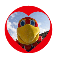 kuendowment one day one ku one day one ku 2025 onedayoneku2025 odoku Sticker