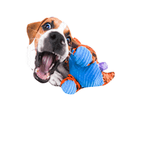 Crazy Eyes Lol Sticker by Taylor Starcher