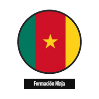 Cameroon Flag Sticker by Formación Ninja