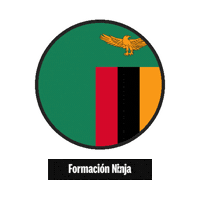 Flag Bandera Sticker by Formación Ninja
