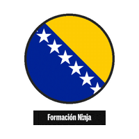 Bosnia And Herzegovina Flag Sticker by Formación Ninja
