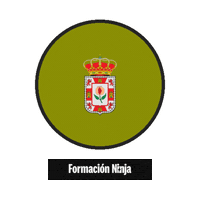 Flag Spain Sticker by Formación Ninja