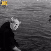 JOEMedia halloween horror spooky politics GIF