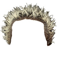 Guy Fieri Hair Sticker by Bleacher Report