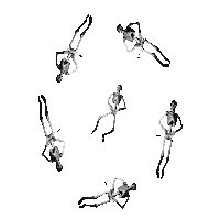 flying day of the dead Sticker by Peter Bjorn and John