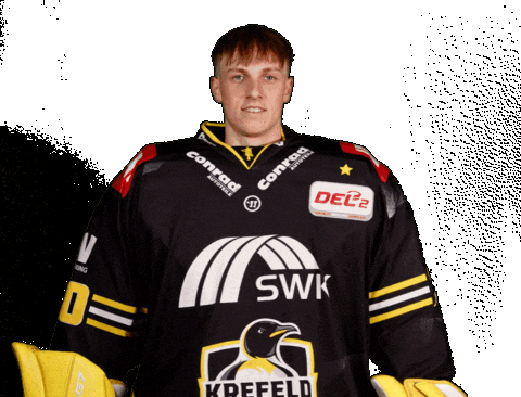 Del2 Seidenstadt Sticker by Krefeld Pinguine