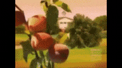 Andy Cohen Reaction GIF by Robert E Blackmon