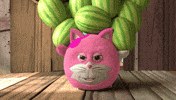Angry Cat GIF by HangryPetz