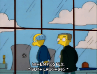Episode 5 Lol GIF by The Simpsons