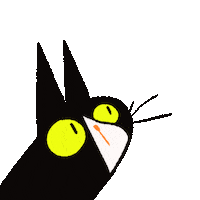 levraicolonelmoutarde cat blackcat cmoutarde monchat Sticker